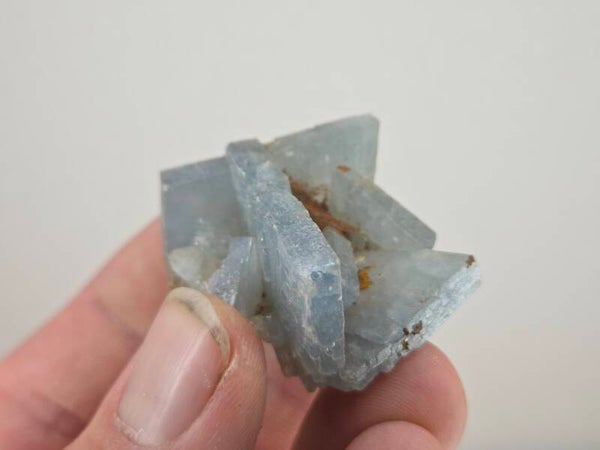 Blauwe Bariet Spanje