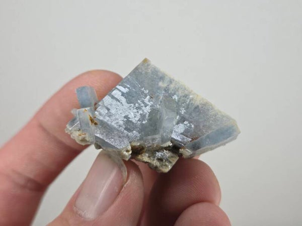 Blauwe Bariet Spanje