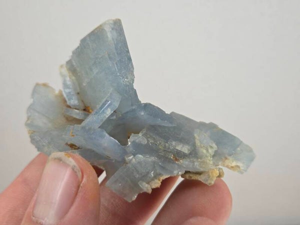 Blauwe Bariet Spanje