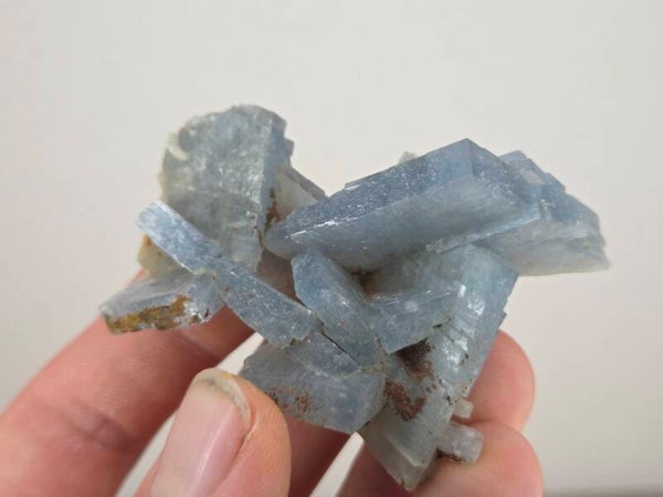 Blauwe Bariet Spanje