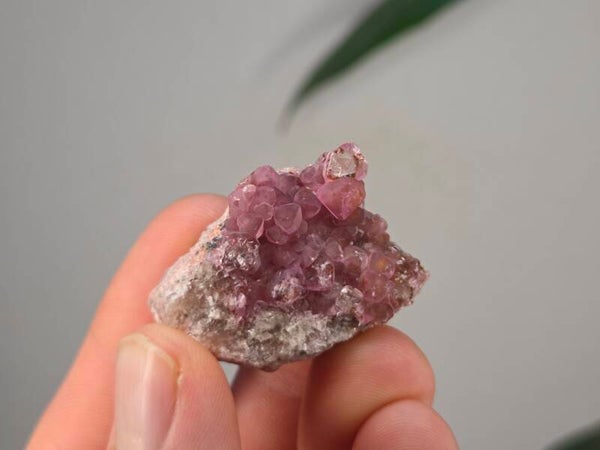 Cobalto Calciet Congo