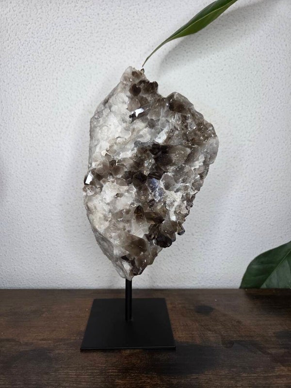 Rookkwarts op Standaard