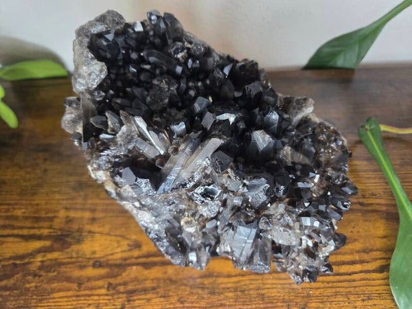 Rookkwarts Brazilië