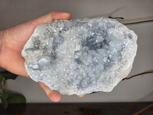 Celestien Madagaskar