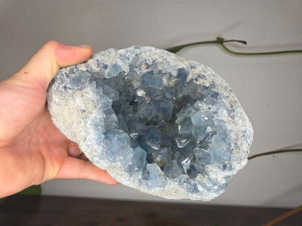 Celestien Madagaskar