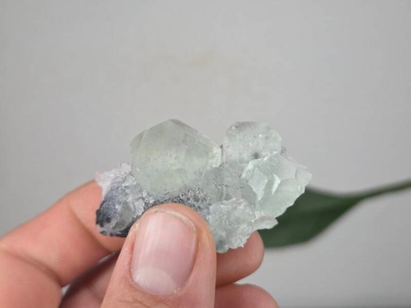 Fluoriet met Kwarts Fujian, China