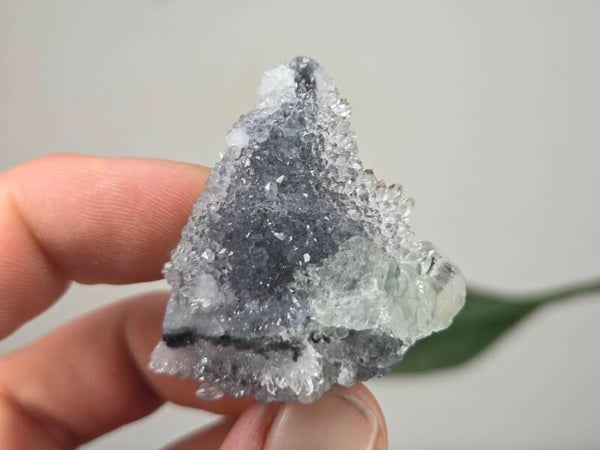 Fluoriet met Kwarts Fujian, China