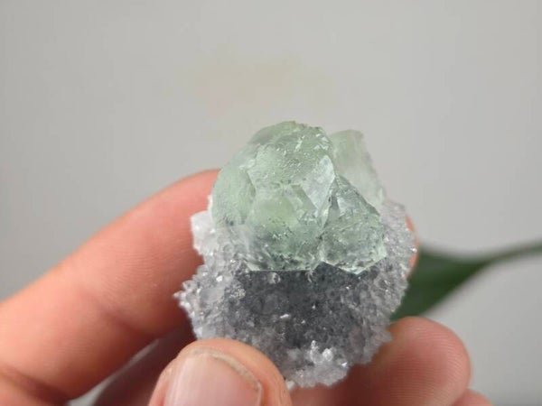 Fluoriet met Kwarts Fujian, China