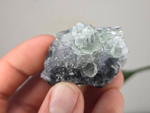 Fluoriet met Kwarts Fujian, China
