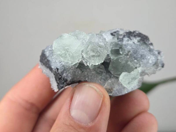 Fluoriet met Kwarts Fujian, China