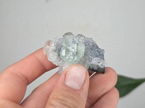 Fluoriet met Kwarts Fujian, China