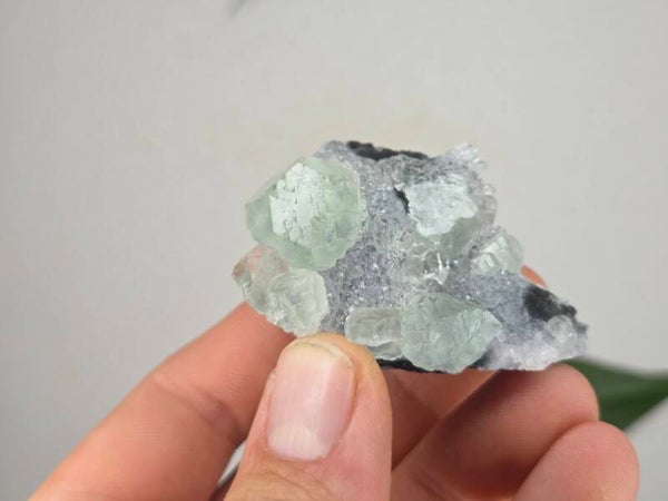 Fluoriet met Kwarts Fujian, China