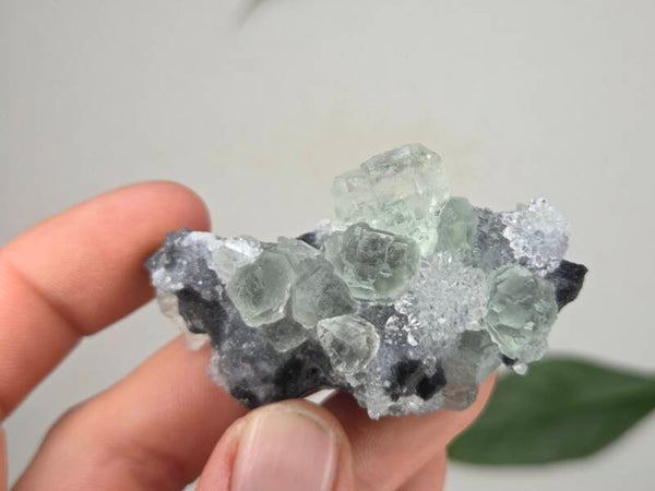 Fluoriet met Kwarts Fujian, China