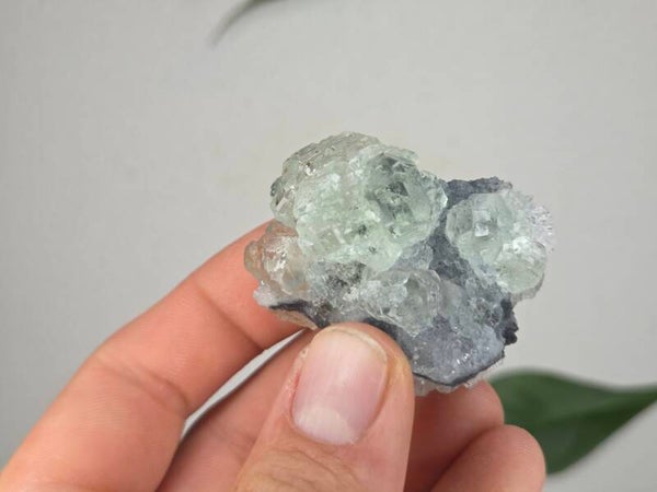 Fluoriet met Kwarts Fujian, China