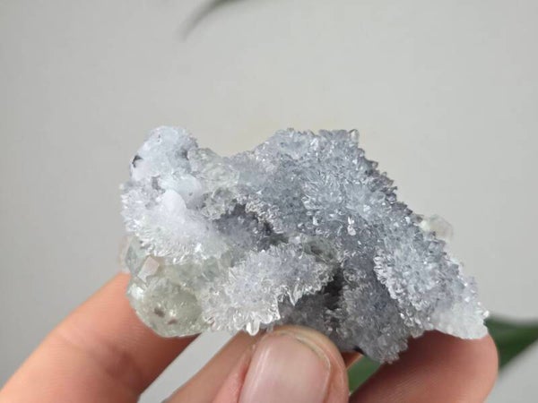 Fluoriet met Kwarts Fujian, China