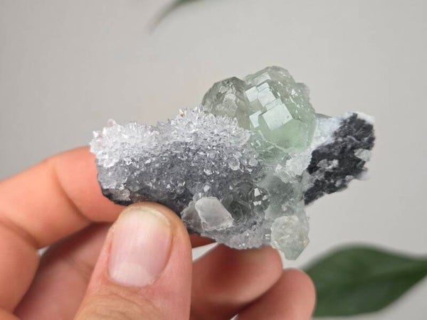 Fluoriet met Kwarts Fujian, China