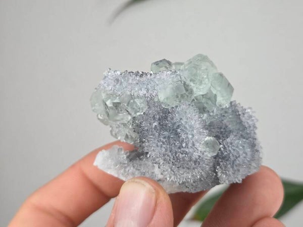 Fluoriet met Kwarts Fujian, China