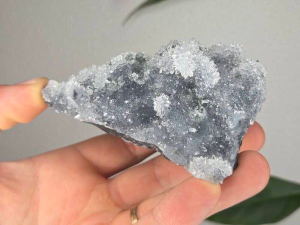 Fluoriet met Kwarts Fujian, China