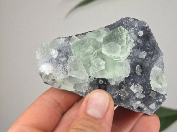 Fluoriet met Kwarts Fujian, China