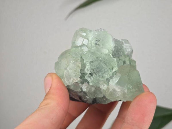 Fluoriet met Kwarts Fujian, China