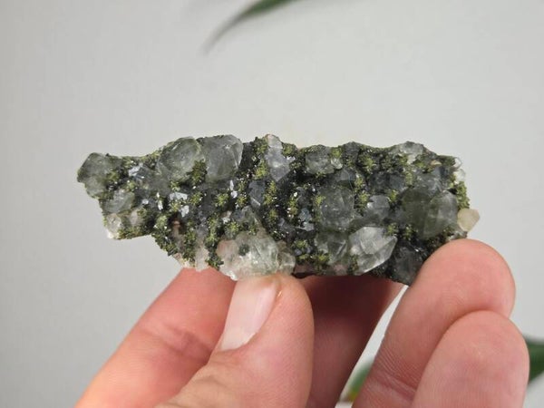 Epidoot met Kwarts Turkije