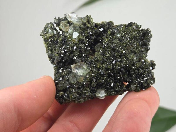 Epidoot met Kwarts Turkije