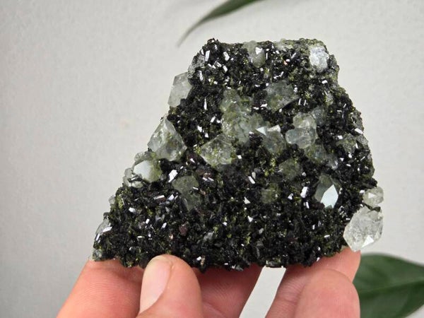 Epidoot met Kwarts Turkije