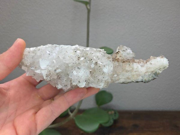Kwarts met Hematiet Ikis Marokko