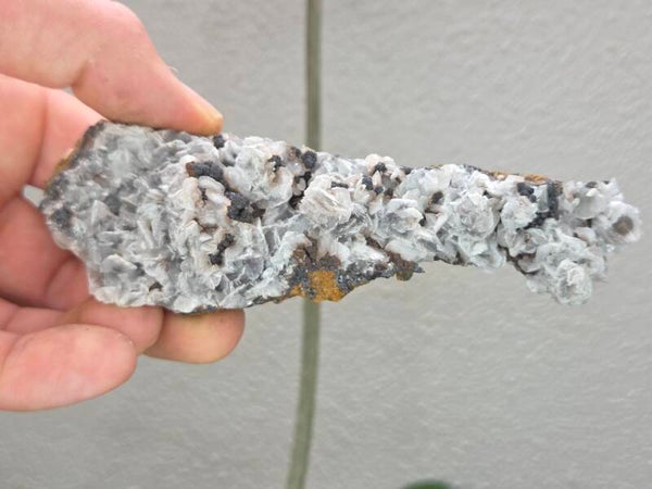 Calciet Nador Marokko