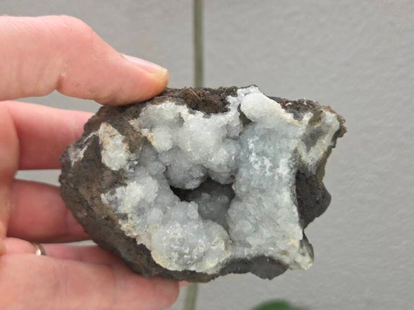 Calciet Nador Marokko