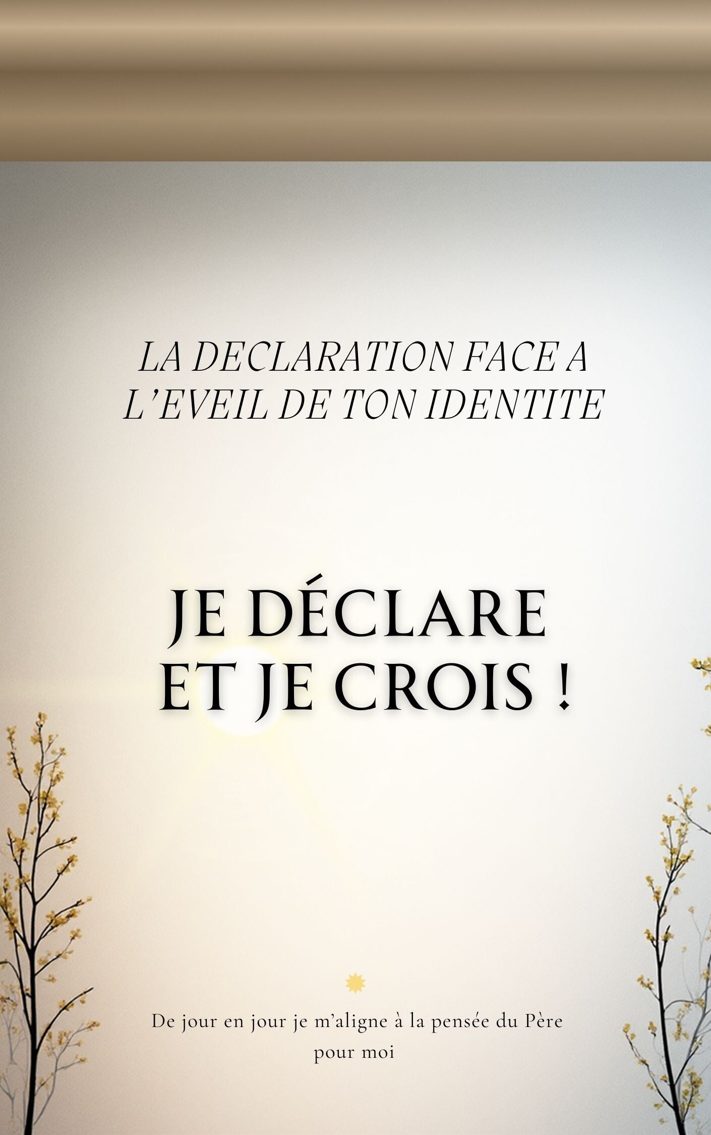 La déclaration face à l'éveil de ton identité - JE DECLARE ET JE CROIS !