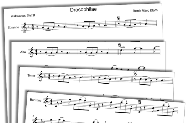 Drosophilae - René Marc Blom