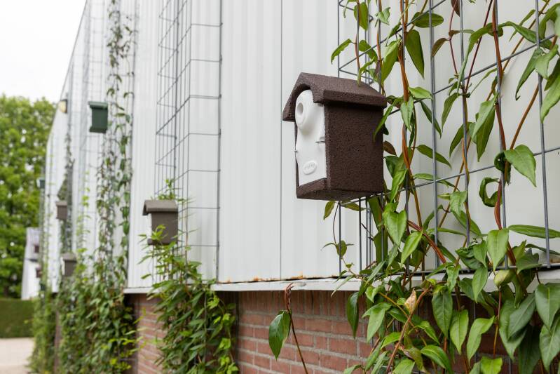 nestkast-close-up-vivara-hq-standard.jpg
