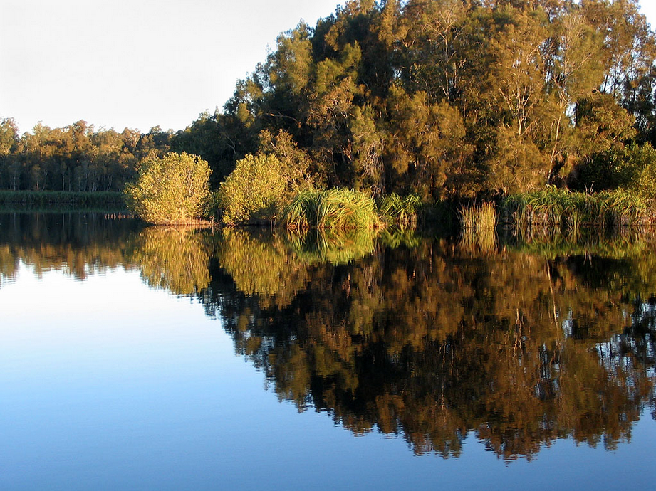 Scene of Lake Cootharaba