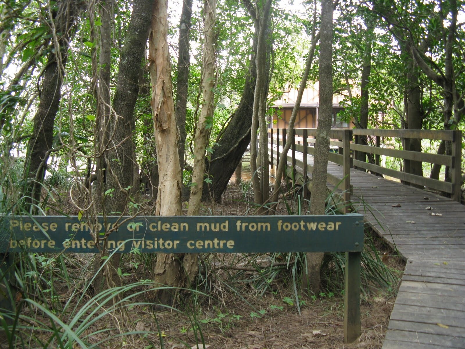 Walkway among the forest