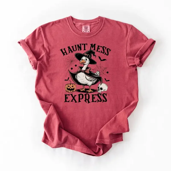 Express Webs