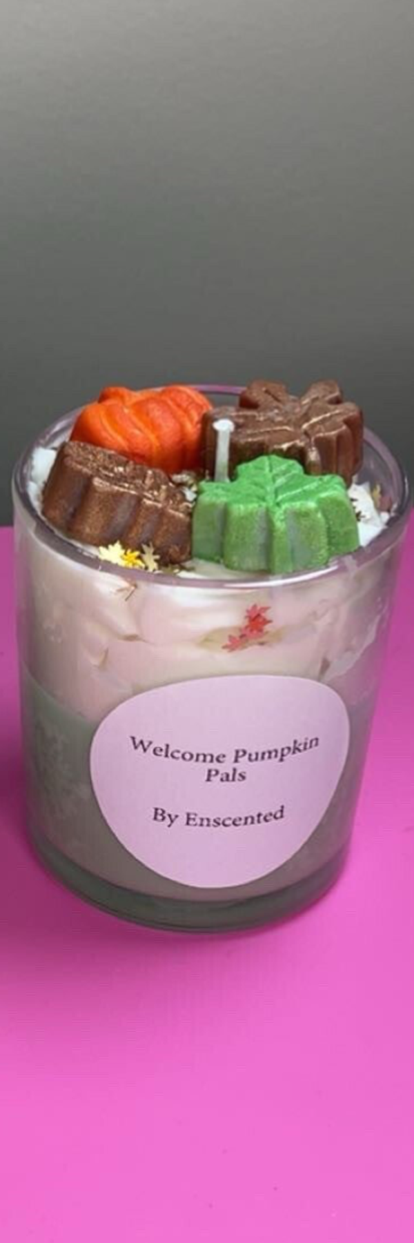 Welcome Pumpkin Pals