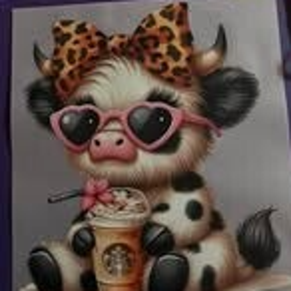 Highland Cow with Coffee