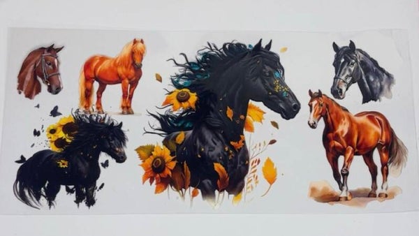 Horses