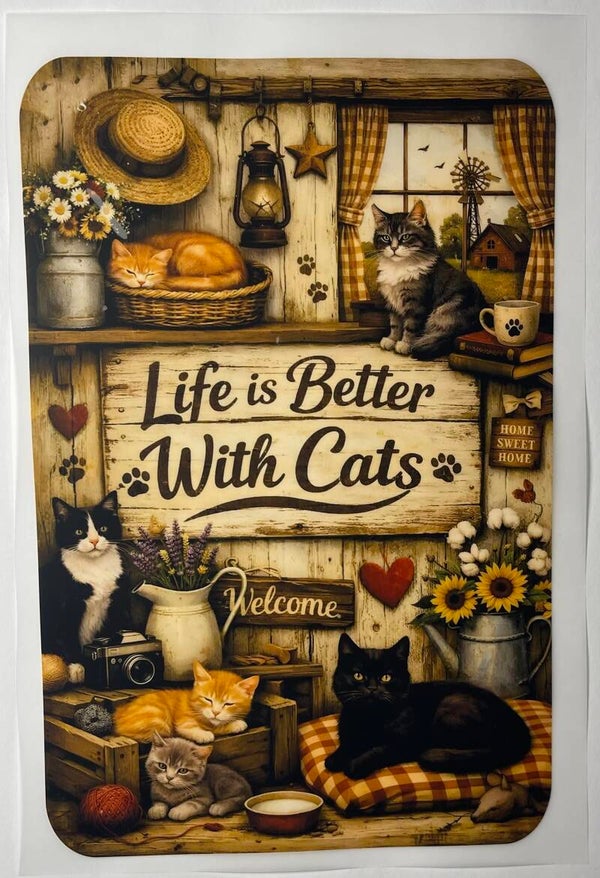 Life is better with cats
