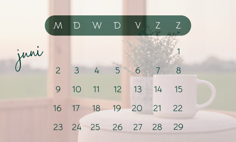 Agenda De Fotoserre 2025