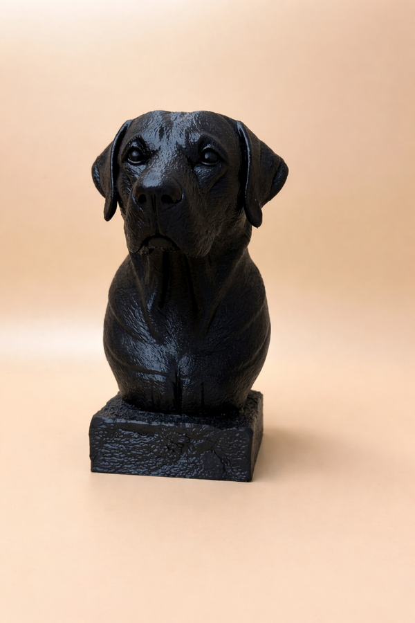 Hond groot
