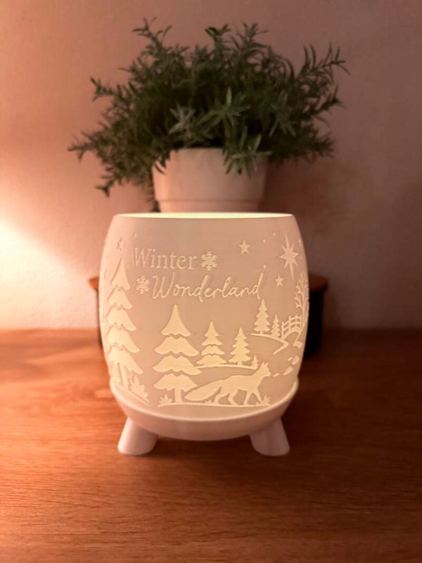 Winter wonderland ledlight