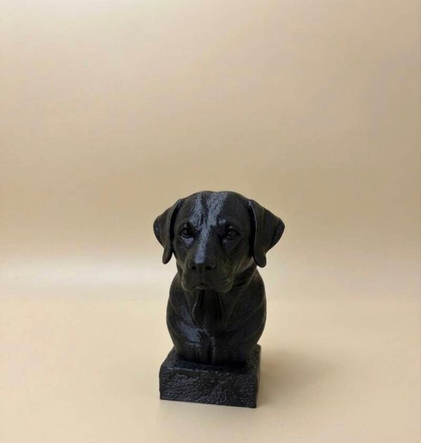 Hond klein
