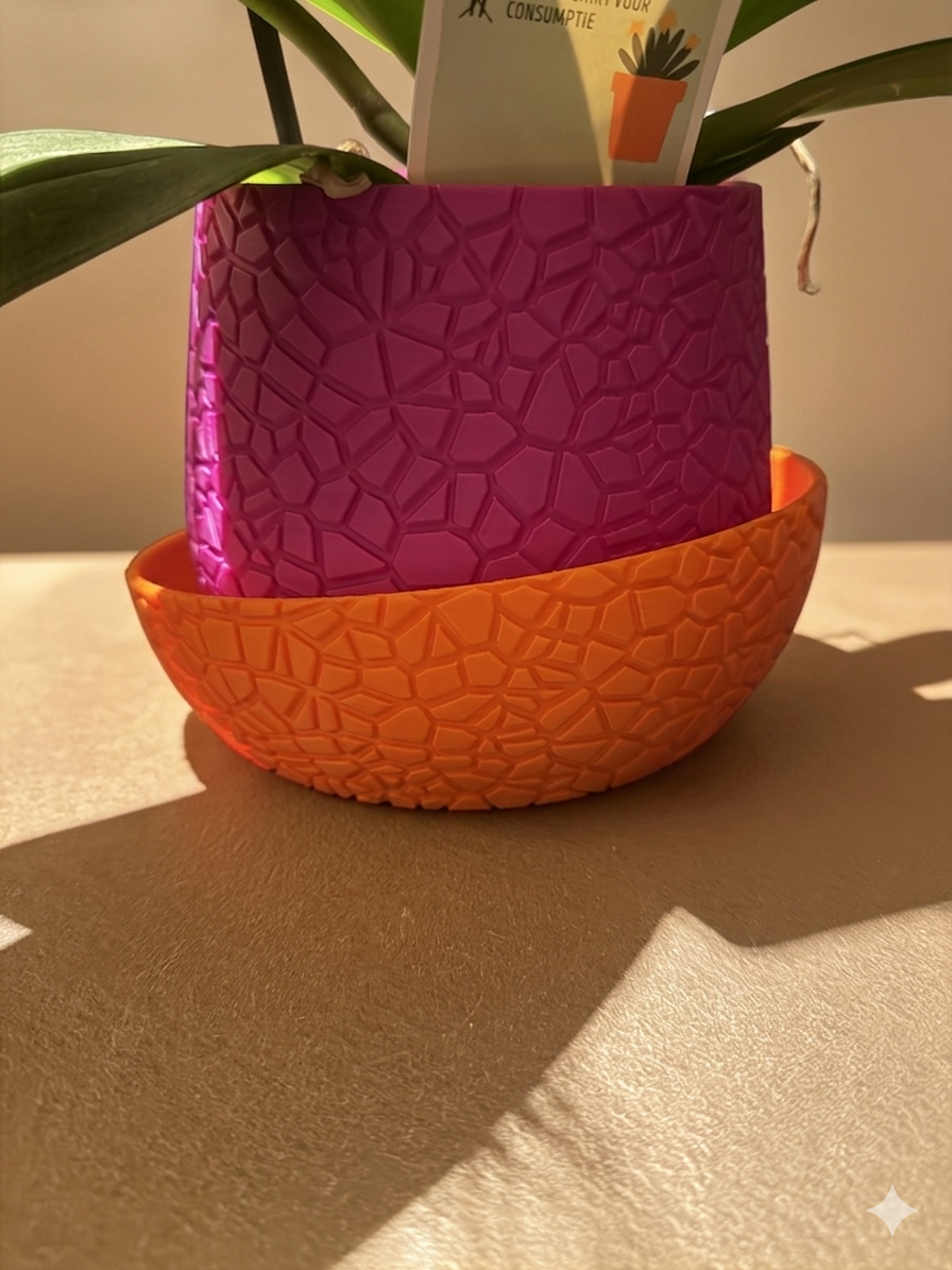 2 kleuren vaas