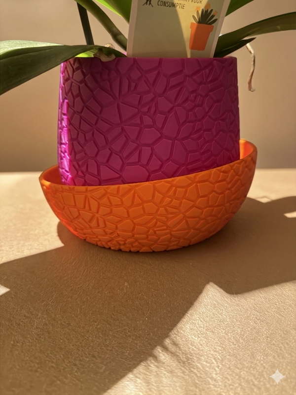 2 kleuren vaas