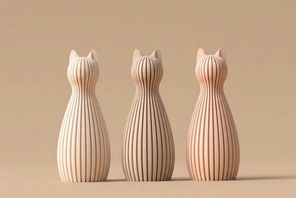 Huisdier kat