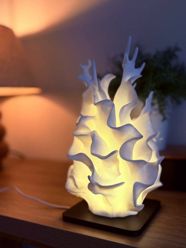 Koraal lamp
