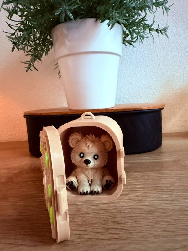 Pocket Pals wasbeer