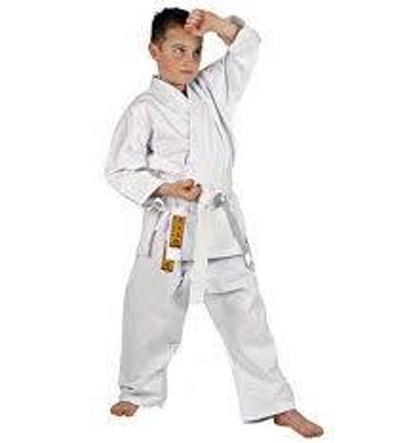 Hayashi >KINSA< voor beginners incl. witte band.